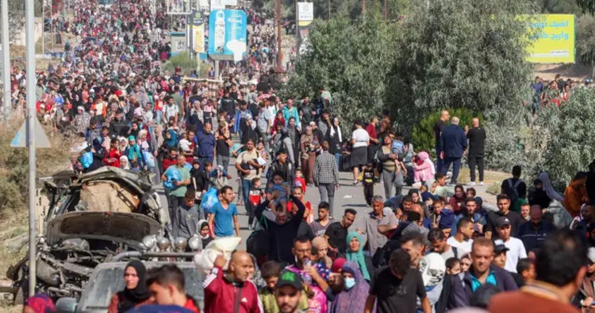 معطيات أممية : تراجع عدد سكان قطاع غزة بأكثر من 223 ألف نسمة منذ اكتوبر 2023 